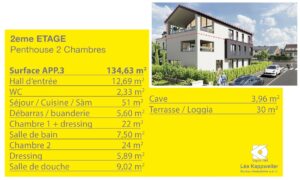 Info-Sheet Penthouse